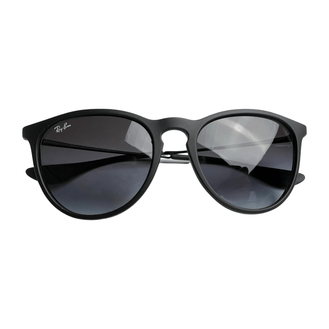 Ray-Ban Erika Black Sunglasses