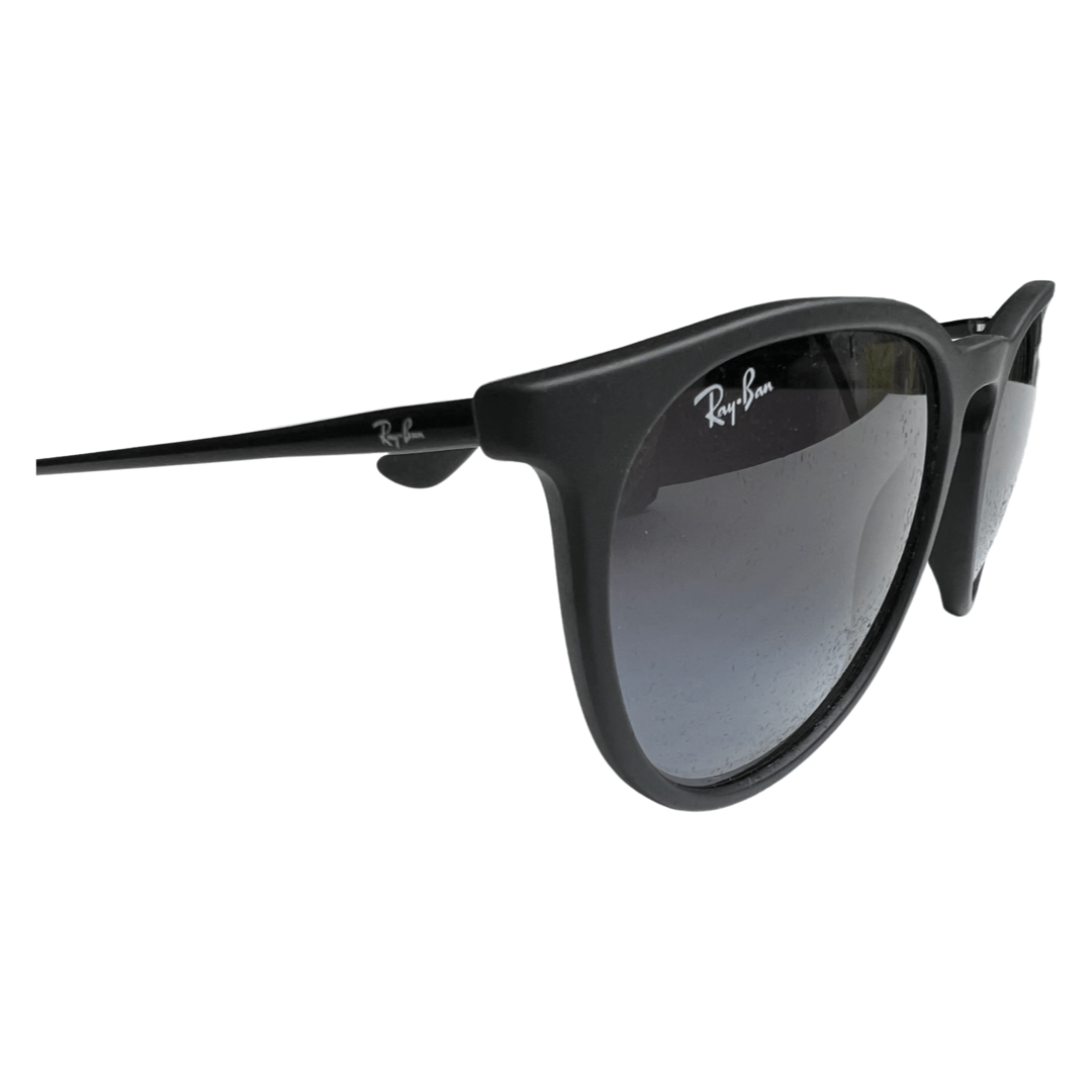 Ray-Ban Erika Black Sunglasses
