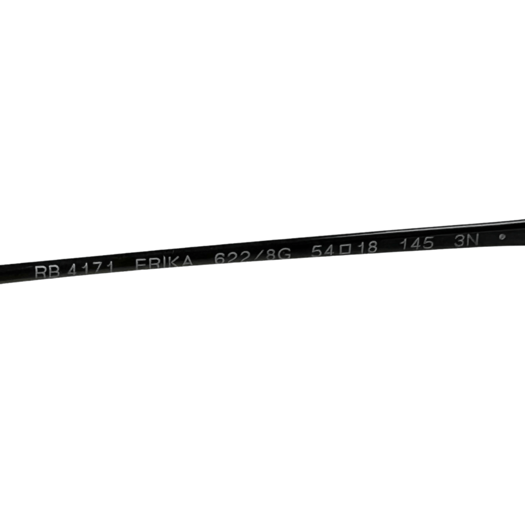 Ray-Ban Erika Black Sunglasses